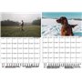 Hundezauber Calendrier 2025 Motif chiens de chasse Format A4 avec 1 calendrier, 1 pendentif de Noël, 1 étiquette de vœux (3 pièc