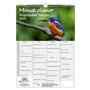 Soul Magic Bird Magic Europe Agenda mural Agenda familial 4 colonnes DIN A3 Calendrier pour 2025 Oiseau – Soul Magic