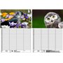 Soul Magic Bird Magic Europe Agenda mural Agenda familial 4 colonnes DIN A3 Calendrier pour 2025 Oiseau – Soul Magic