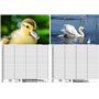 Soul Magic Bird Magic Europe Agenda mural Agenda familial 4 colonnes DIN A3 Calendrier pour 2025 Oiseau – Soul Magic