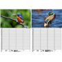 Soul Magic Bird Magic Europe Agenda mural Agenda familial 4 colonnes DIN A3 Calendrier pour 2025 Oiseau – Soul Magic