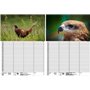 Soul Magic Bird Magic Europe Agenda mural Agenda familial 4 colonnes DIN A3 Calendrier pour 2025 Oiseau – Soul Magic
