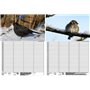 Soul Magic Bird Magic Europe Agenda mural Agenda familial 4 colonnes DIN A3 Calendrier pour 2025 Oiseau – Soul Magic