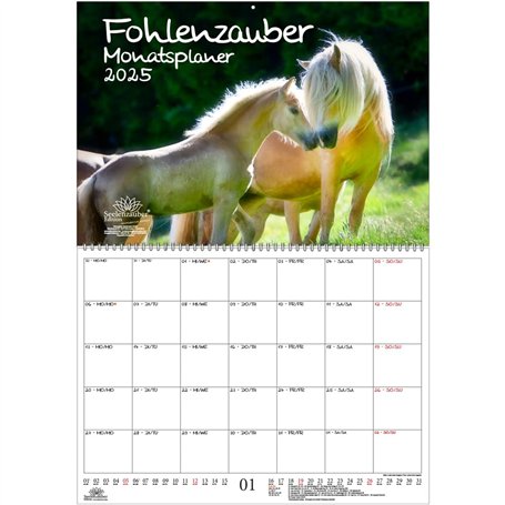 Fohlenzauber Calendrier 2025 format A2 pour chevaux et poulains – Coffret cadeau : 1 calendrier