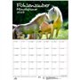 Fohlenzauber Calendrier 2025 format A2 pour chevaux et poulains – Coffret cadeau : 1 calendrier