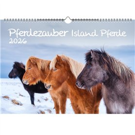Pferdezauber Island Calendrier A3 pour chevaux et poulains 2026 – Contenu : 1 calendrier