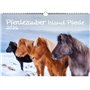 Pferdezauber Island Calendrier A3 pour chevaux et poulains 2026 – Contenu : 1 calendrier