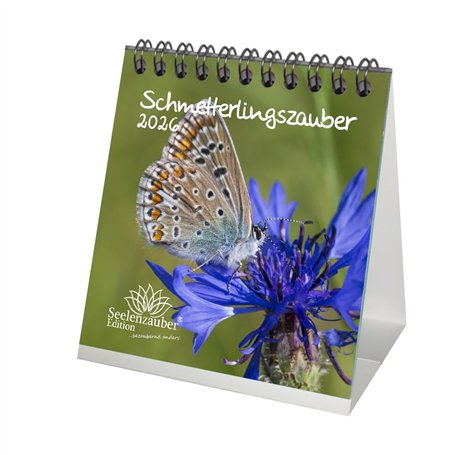 Calendrier de table 2026 Motif papillons 10 x 10 cm Seelenzauber