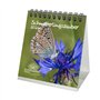Calendrier de table 2026 Motif papillons 10 x 10 cm Seelenzauber