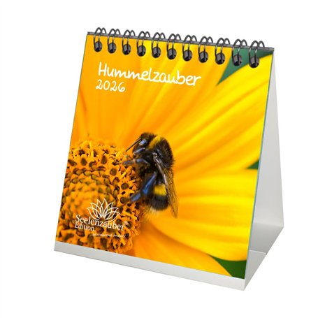 Hummelzauber Calendrier de table 10 cm x 10 cm pour 2026 bourdon Seelenzauber