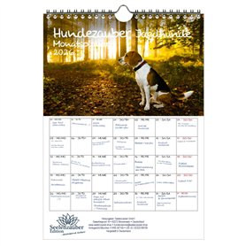 Hundezauber Calendrier 2026 Motif chiens de chasse Format A4 Pour chiots et chiens Coffret cadeau Contenu : 1 calendrier