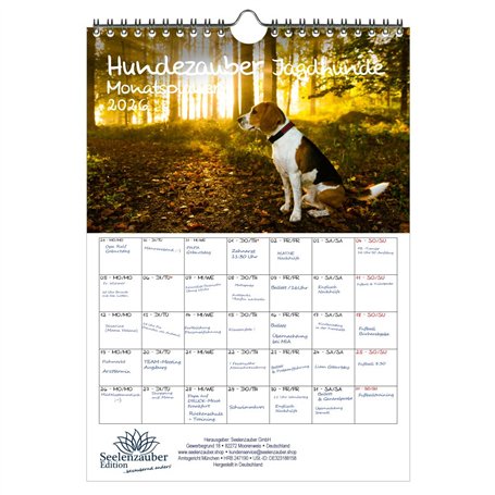 Hundezauber Calendrier 2026 Motif chiens de chasse Format A4 Pour chiots et chiens Coffret cadeau Contenu : 1 calendrier