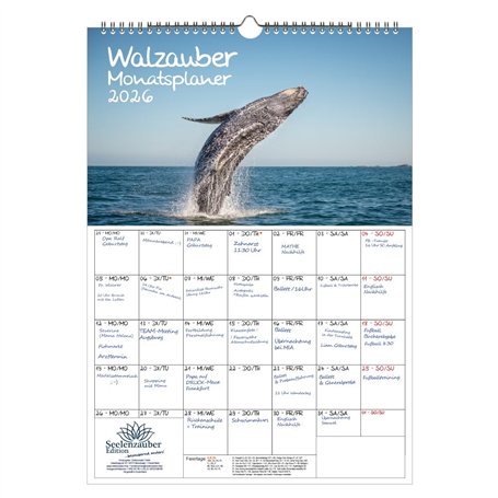Walzauber Calendrier DIN A3 pour baleine 2026 – Coffret cadeau Contenu : 1 calendrier