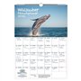 Walzauber Calendrier DIN A3 pour baleine 2026 – Coffret cadeau Contenu : 1 calendrier