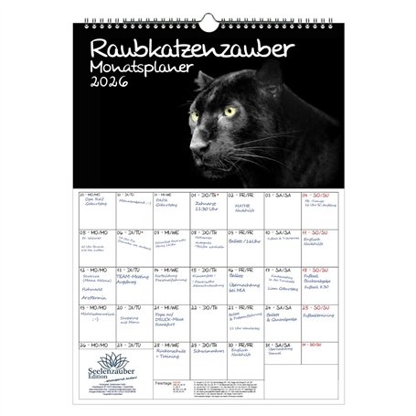 Raubkatzenzauber Calendrier 2026 format A3 pour chats prédateurs – Contenu : 1 calendrier