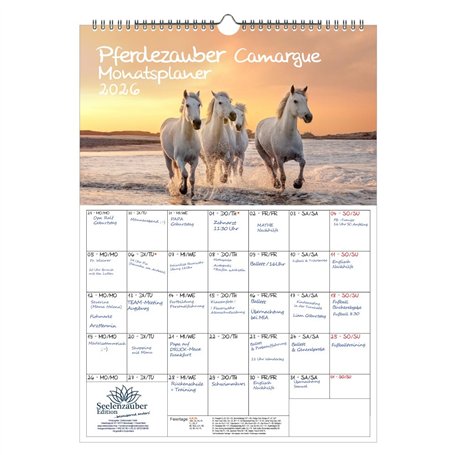 Pferdezauber Camargue Calendrier 2026 format A3 pour chevaux et poulains Seelenzauber