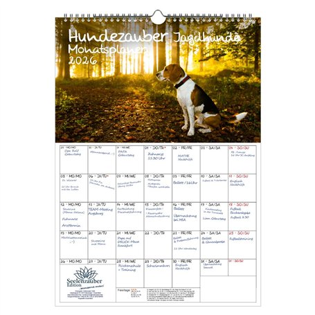 Hundezauber Calendrier 2026 Motif chiens de chasse Format A3 Pour chiots et chiens Contenu de la livraison : 1 calendrier