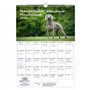 Calendrier 2026 Hundezauber Weimar - Format A3 - Pour chiots et chiens - Contenu : 1 calendrier