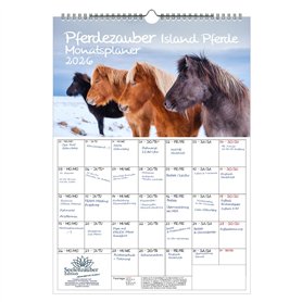 Pferdezauber Island Calendrier 2026 Motif chevaux et poulains Format A3 Seelenzauber