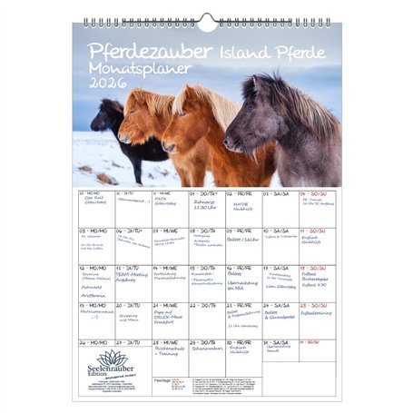 Pferdezauber Island Calendrier 2026 Motif chevaux et poulains Format A3 Seelenzauber