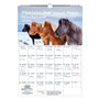 Pferdezauber Island Calendrier 2026 Motif chevaux et poulains Format A3 Seelenzauber