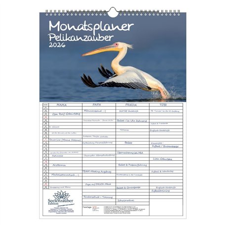Pelikanzauber Calendrier familial à 4 colonnes DIN A3 pour 2026 Motif pélicans – Avec 1 calendrier