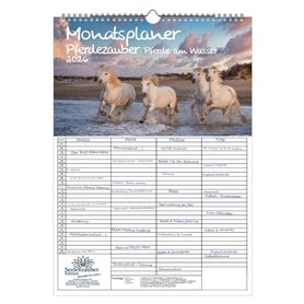 Pferdezauber Calendrier familial à 4 colonnes Motif chevaux sur l'eau Format A3 Contenu : 1 calendrier