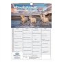 Pferdezauber Calendrier familial à 4 colonnes Motif chevaux sur l'eau Format A3 Contenu : 1 calendrier