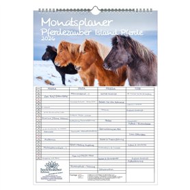 Pferdezauber Island Calendrier familial à 4 colonnes DIN A3 pour chevaux et poulains – Kit : 1 calendrier