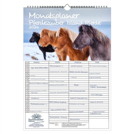 Pferdezauber Island Calendrier familial à 4 colonnes DIN A3 pour chevaux et poulains – Kit : 1 calendrier