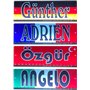Schmalz Werbeservice Plaque signalétique LED Trucker avec drapeau du pays - enseigne lumineuse en acrylique avec pays et texte s