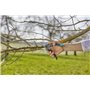 Gardena - Sxe9cateur ExpertCut : Sxe9cateur de prxe9cision, coupe bypass pour branches/rameaux/arbres fruitiers, diamxe8tre de c