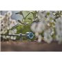 Gardena Micro-Drip System Goutteur d'extrémité réglable, régulateur de Pression : Embout pour Irrigation Goutte à Goutte, pour a