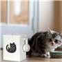 RESOYE Récipient de stockage de nourriture pour chien et chat, boîte de stockage de nourriture pour animaux domestiques, boîte d