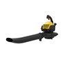 Stanley 604200020 Souffleur Aspirateur Broyeur thermique 3 en 1