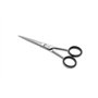 OTTO HERDER Ciseaux de Coiffeur Professionnels de Solingen - 12,7 cm, Inoxydable Avec Micro-dents - Pour Homme et Femme - Croche