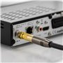deleyCON 2x SAT Adaptateur D'antenne Adaptateur SAT SET F-Plug vers Connecteur Femelle IEC Connecteur Adaptateur Coaxial Câble S
