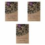 Bettes à cardes multicolores - Coffret cadeau de semences avec 3 variétés colorées
