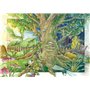 Bettes à cardes multicolores - Coffret cadeau de semences avec 3 variétés colorées