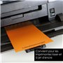 OfficeTree 100 x Séparateur Classeur Coloré - Intercalaire Carton 180 g/m² Perforés - Parfait pour les Onglets de Classement des