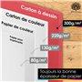 OfficeTree 60x Feuille Rose A4 300g - 6 Couleurs - Feuille de Couleur Cartonné A4 - Papier Rose pour Bricolage Scrapbooking & Im