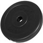 GYRONETICS® Set d'Haltères Courts - 20kg, Ensemble Disques de Poids, avec Barre Ø 25mm, Antidérapant, 2 Fermeture Étoile, Plasti