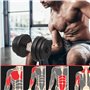 Physionics® Haltère/Poids Musculation - 2x15/20kg, Plastique, 2 Barres Courtes, 4 Fermoirs d’Étoile, Ø25mm - Disques Fitness, Se