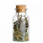 Mambocat Lot de 6 pots à épices - Contenance 300 ml - Pots en verre réutilisables avec bouchon en liège - Verre rond de haute qu