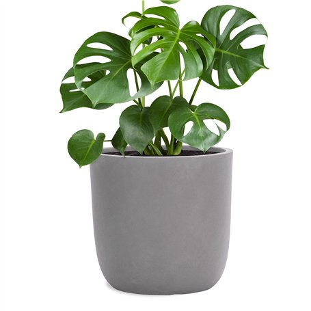 Pflanzwerk® Pot de Fleur Fibre de Verre Cup Ø34cm Gris Jardinière antigel* *Protection UV* *Qualité européenne*