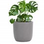 Pflanzwerk® Pot de Fleur Fibre de Verre Cup Ø34cm Gris Jardinière antigel* *Protection UV* *Qualité européenne*