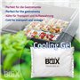 THERM BOX Lot de 4 blocs réfrigérants professionnels pour glacière - 450 g - Réutilisables Blanc