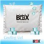 THERM BOX Lot de 4 blocs réfrigérants professionnels pour glacière - 450 g - Réutilisables Blanc