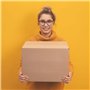verpacking 100 cartons pliants 250 x 250 x 250 mm Cartons d'expédition en carton ondulé 1 cannelure Emballages en carton KK 28 C