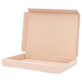 100 boîtes carton extra-plates 16
